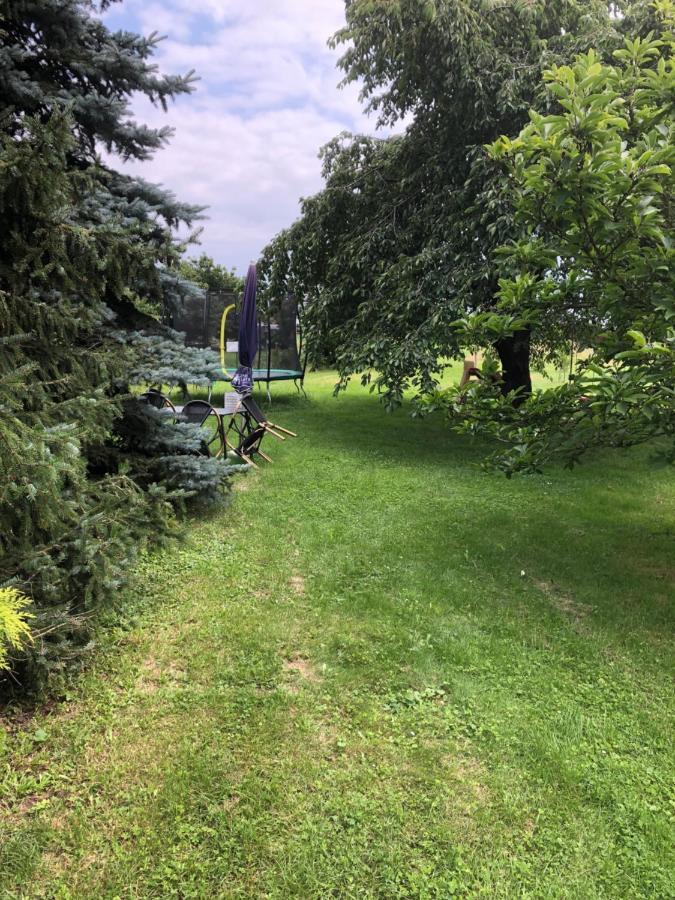 Fewo Rehbach Leipzig Exteriör bild